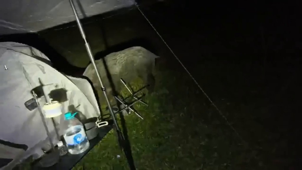 Threads截圖(資料來源:szewai_li@Threads) Threads截圖(資料來源:szewai_li@Threads)