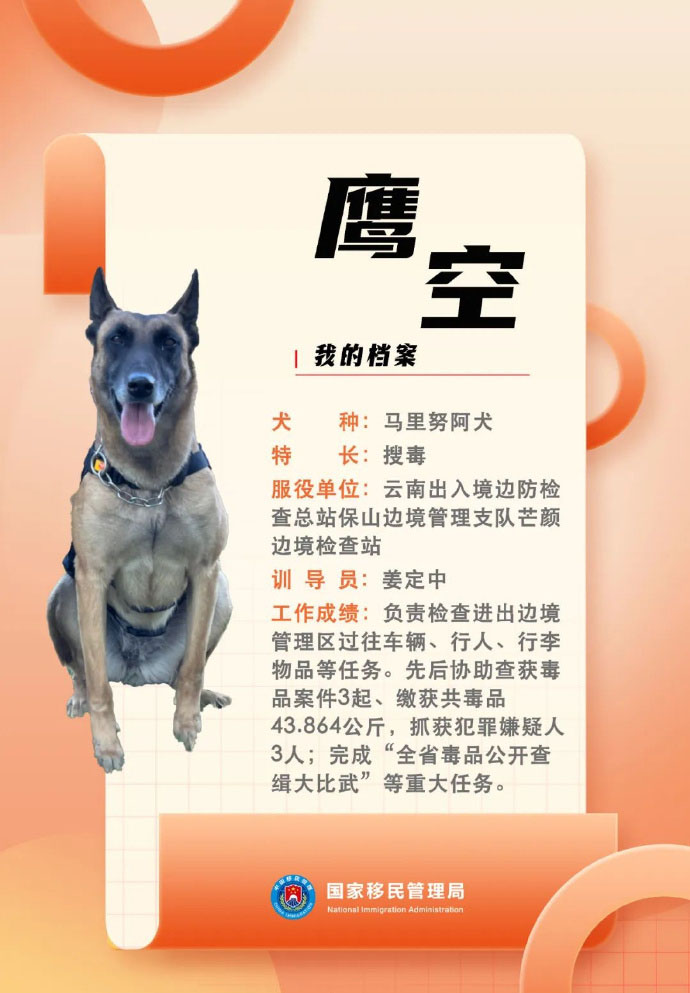 綿陽市公安局讚揚他們的一眾出色警犬。 微博圖