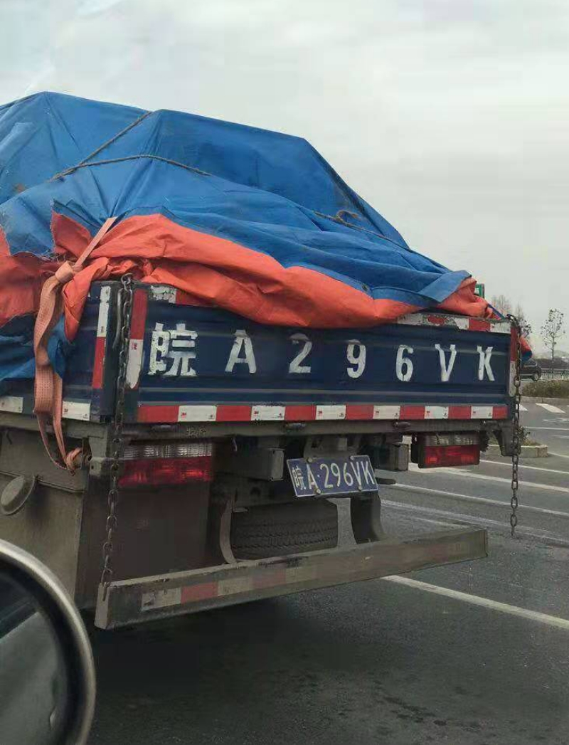 上百隻流浪狗被搬上貨車運走。網圖