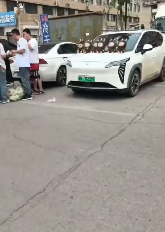 河南衡水出現翻版LABUBU街市。抖音＠貓沒吃過魚