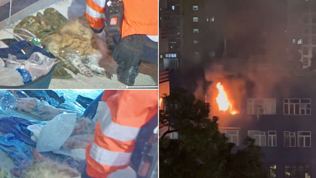 上環唐樓單位起火傳爆炸聲 兩小貓生死未卜 3白鴿2龜葬身火海