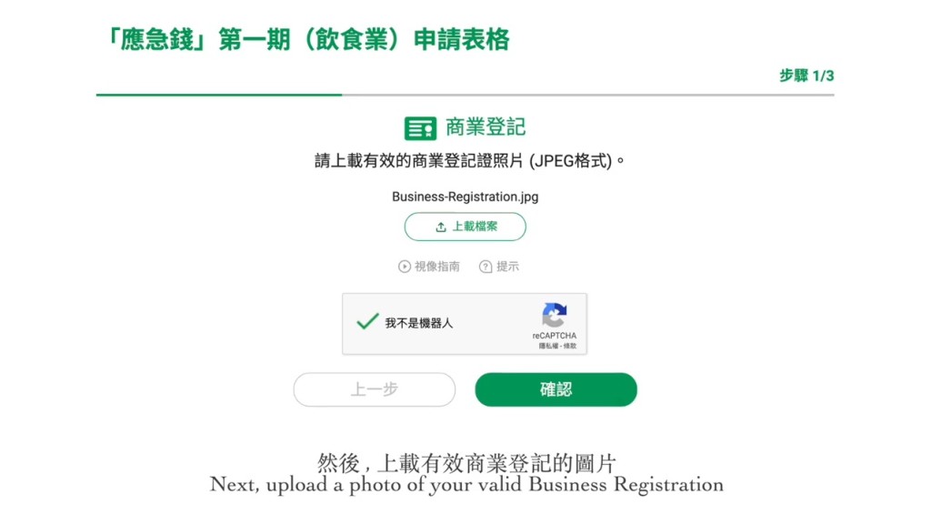 網上申請頁面。影片截圖