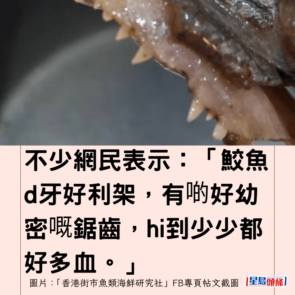  不少網民表示：「鮫魚d牙好利架，有啲好幼密嘅鋸齒，hi到少少都好多血。」