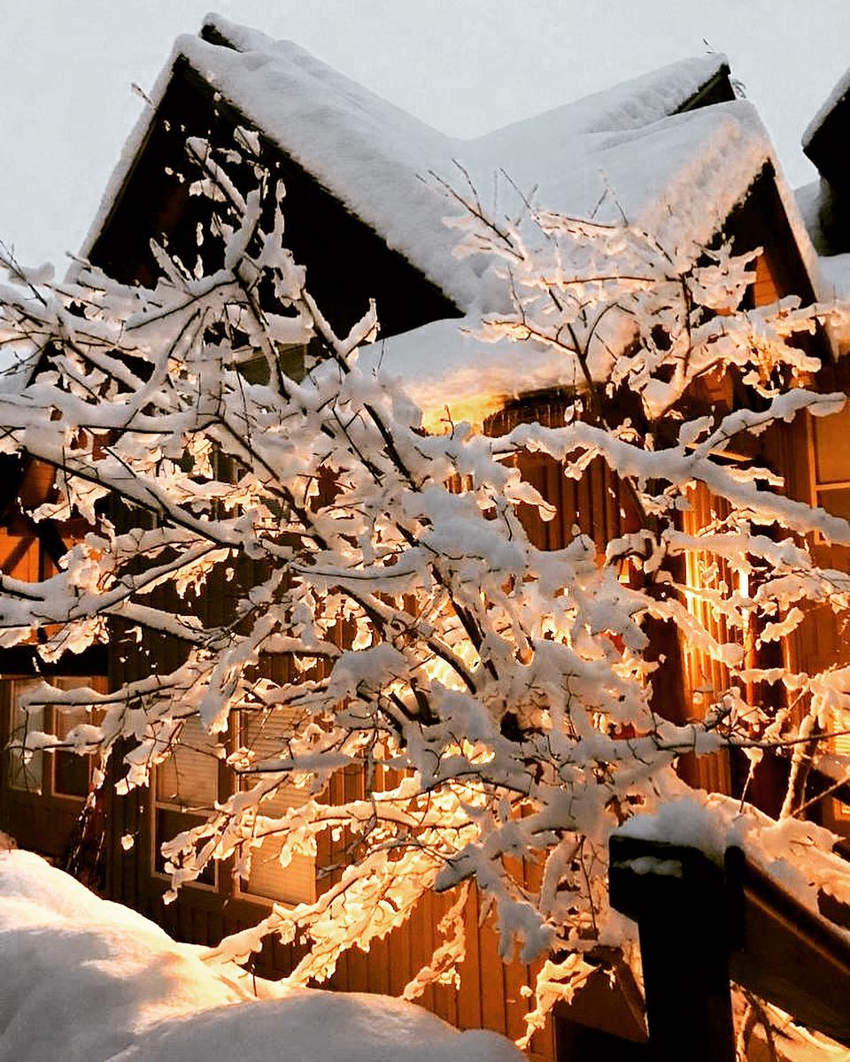 屋外雪景好靚。