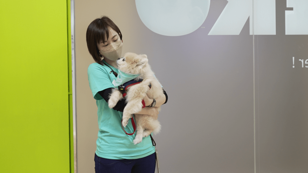 Debbie起初是全職社工，2013年建立了香港動物輔助治療協會（HKAATA），投入動物輔助治療師的工作。