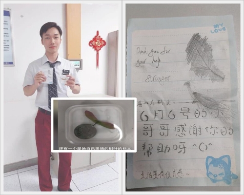 1元被精心打扮配上兩片樹葉標本非常可愛。