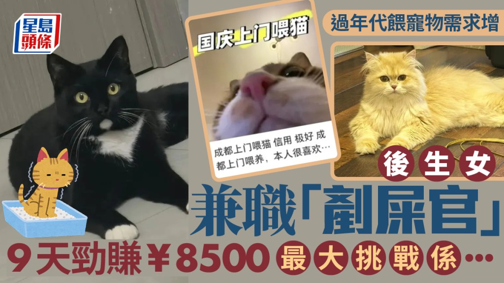 兼職「剷屎官」︱過年「寵物上門餵養」需求暴增   95後女生9天勁賺¥8500