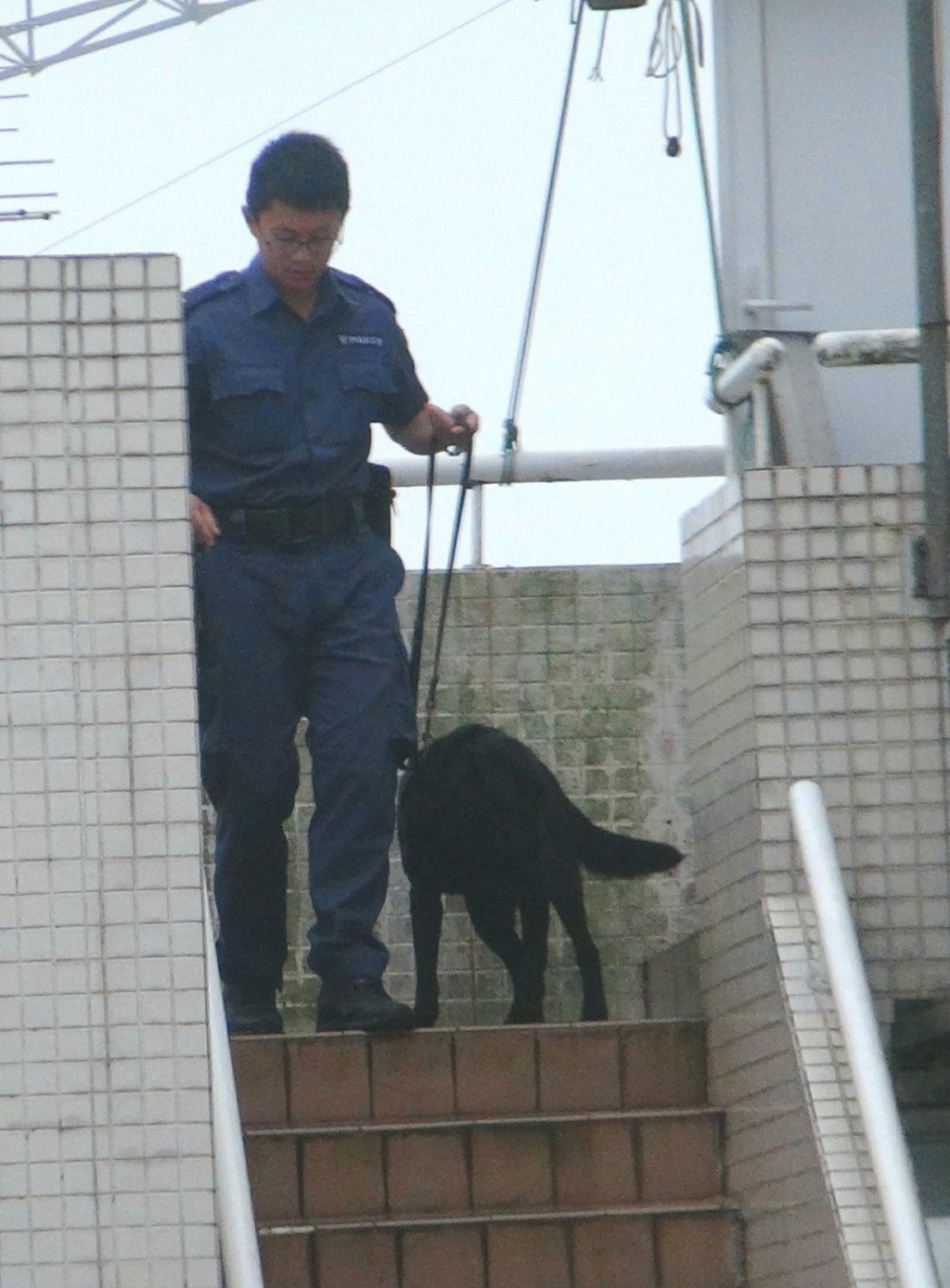 警員帶同警犬在現場搜證調查。 林明思攝