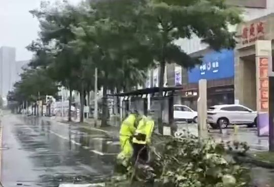 颱風樺加沙影響下，深圳多個路段樹木倒伏，有關部門清理現場。 深圳新聞網