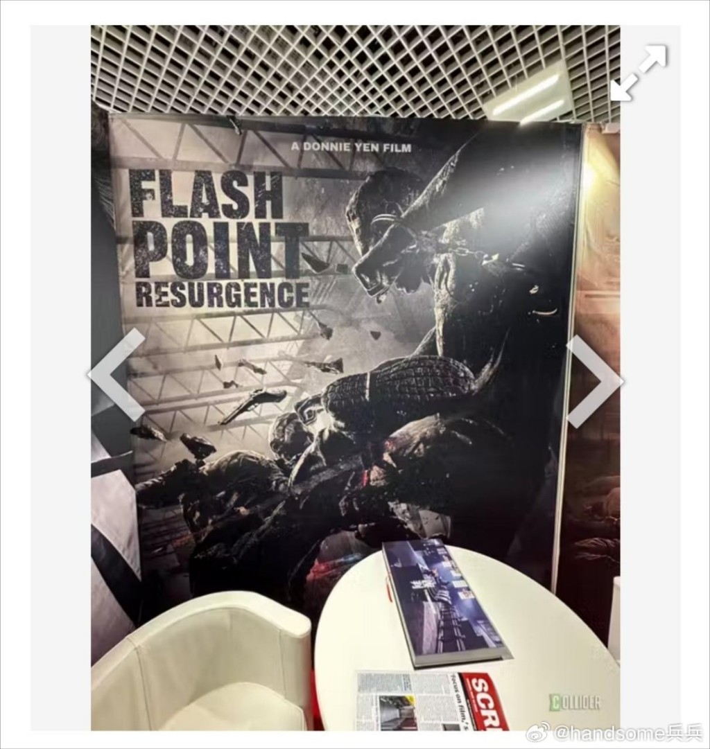 甄子丹另一部作品《导火线2》的官方海报在康城曝光。