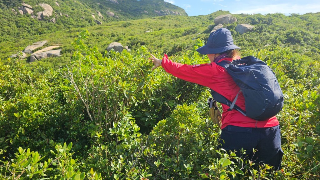 救援人員到榕樹灣、洪聖爺大灣肚至索罟灣山地塘一帶進行搜索。 救援人員到榕樹灣、洪聖爺大灣肚至索罟灣山地塘一帶進行搜索。