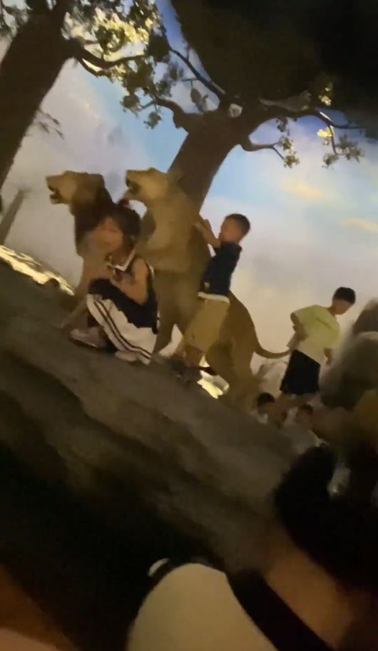 上海自然博物館有展台被熊孩子集體闖入。抖音