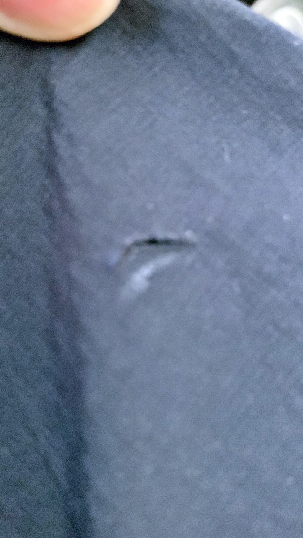 Threads截圖(資料來源:maipingdidi@Threads) Threads截圖(資料來源:maipingdidi@Threads)