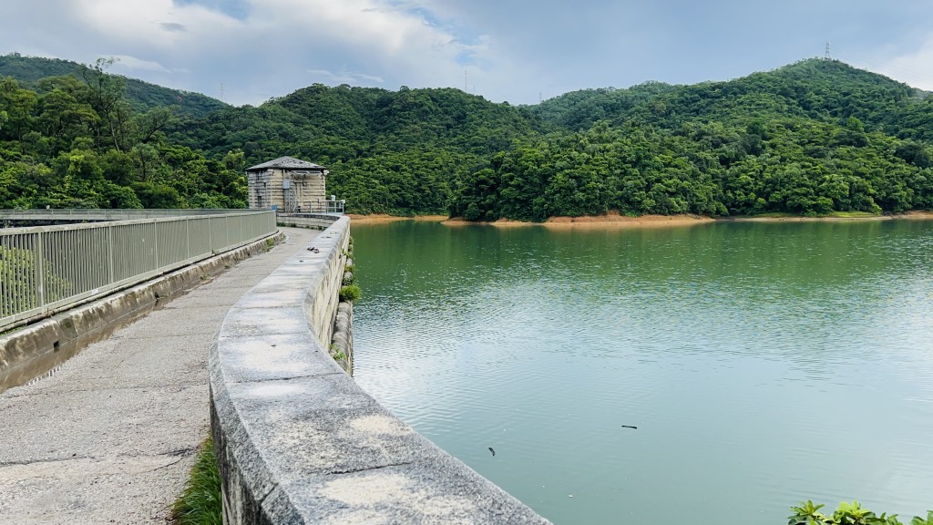 有猴子浮尸石梨贝水塘。蔡楚辉摄