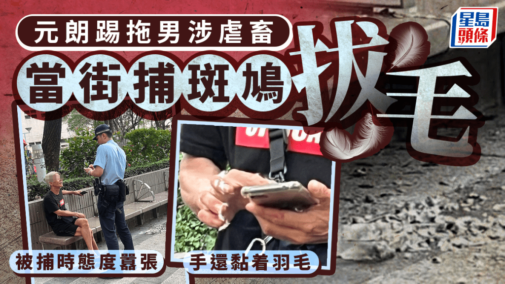元朗踢拖男當街捕斑鳩拔毛  涉虐畜被捕