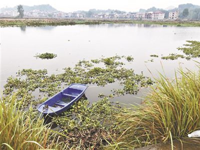 戴女和兒女自殺地點。網圖