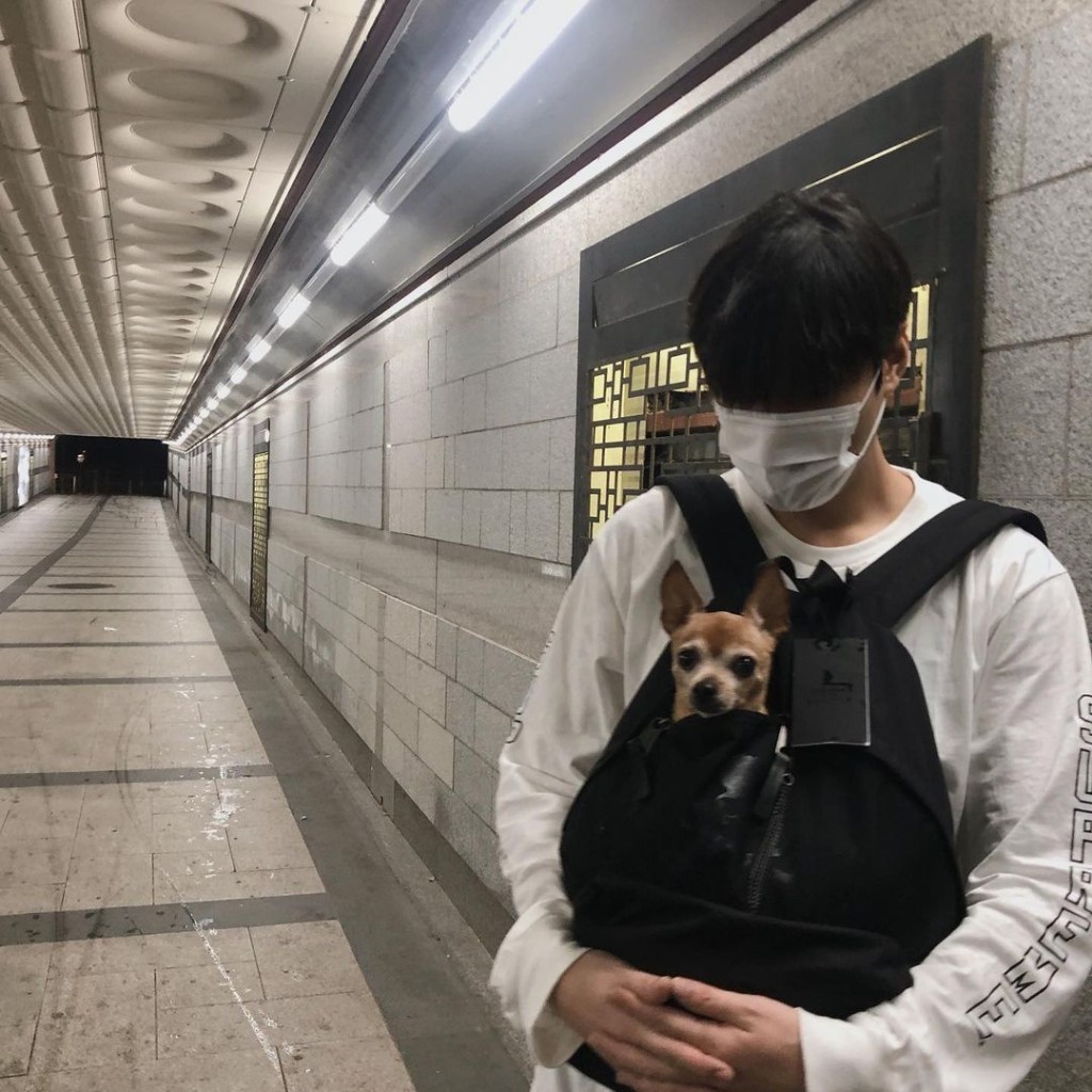 李敏鎬同「Choco」入室內暫避,可見地下都有少少濕。
