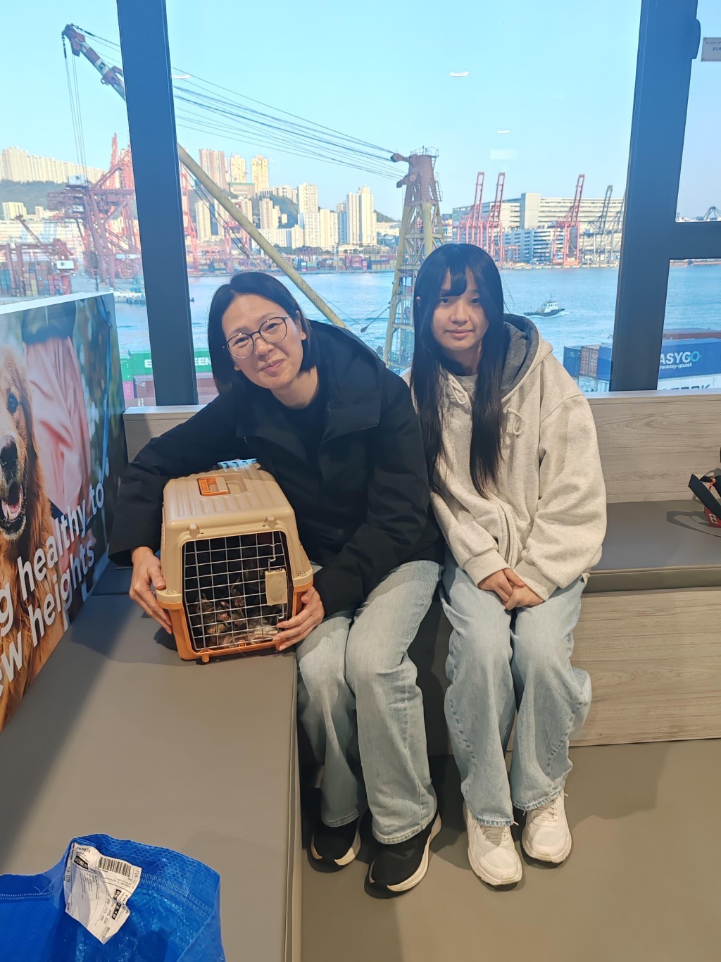 主人收到消息後，立即趕到愛護動物協會，預備接牠回家。愛護動物協會提供