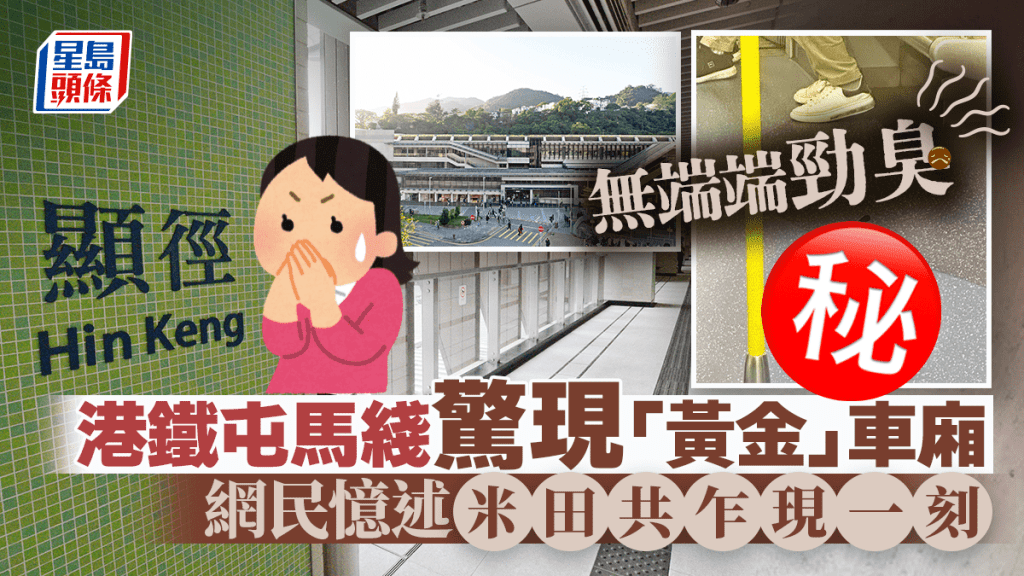 屯馬綫驚現「黃金」車廂 無端端勁臭 網民憶述米田共乍現一刻