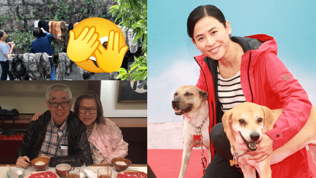 宣萱表舅父蔡和平晒皮草珍藏  數十「屍體」掛於豪宅花園開心留影  驚見完整動物頭部及爪