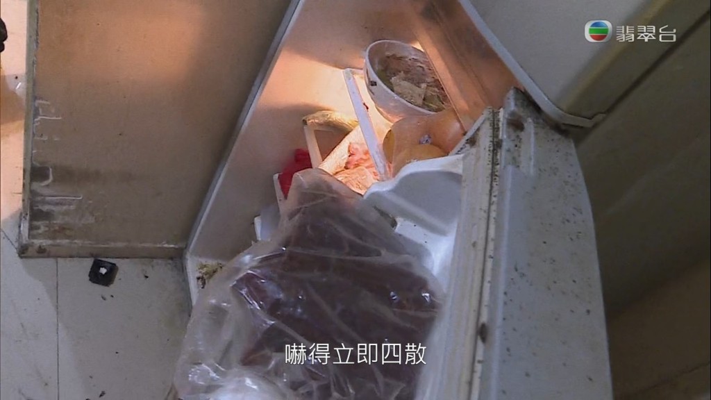 雪櫃內都有好多「小強」。