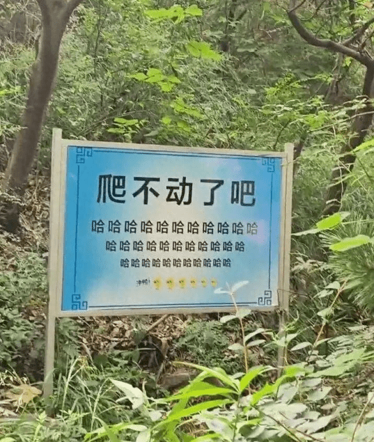 遊客爬山遇另類加油牌。紅星新聞