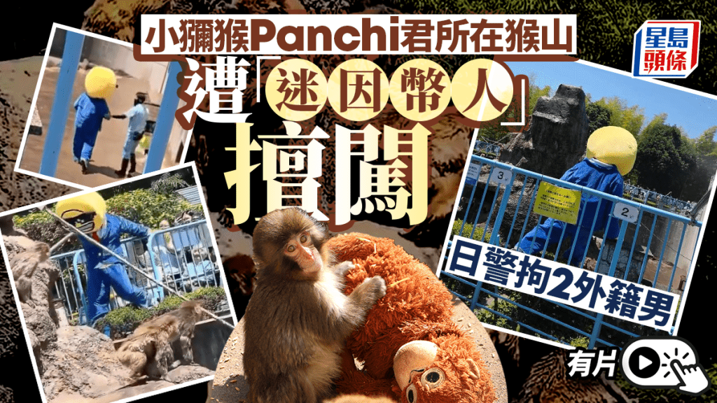孤獨小猴Panchi君︱外籍奇裝男戴頭套闖猴山  日警拘兩人︱有片