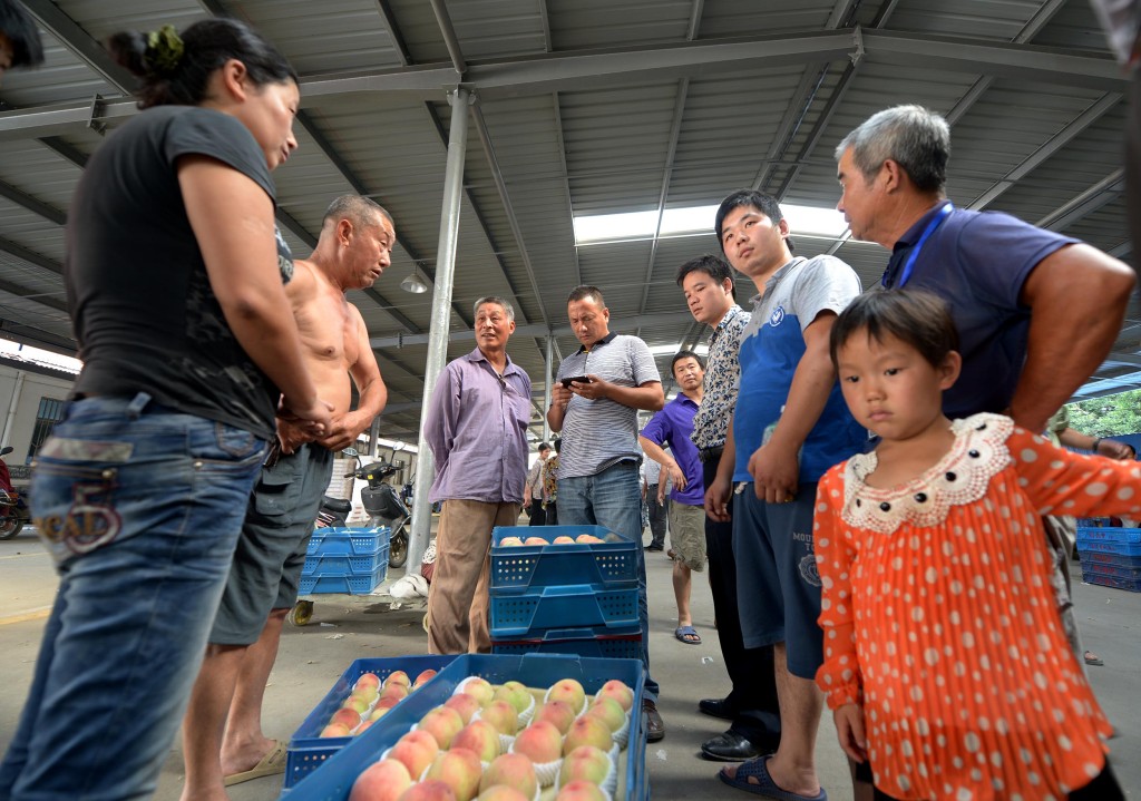 陽山水蜜桃｜當地市民搶購陽山水蜜桃。