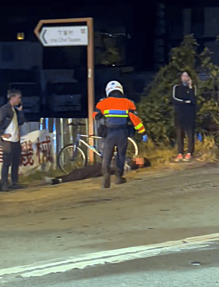 鐵騎士倒卧地上。fb：馬路的事 (即時交通資訊台)