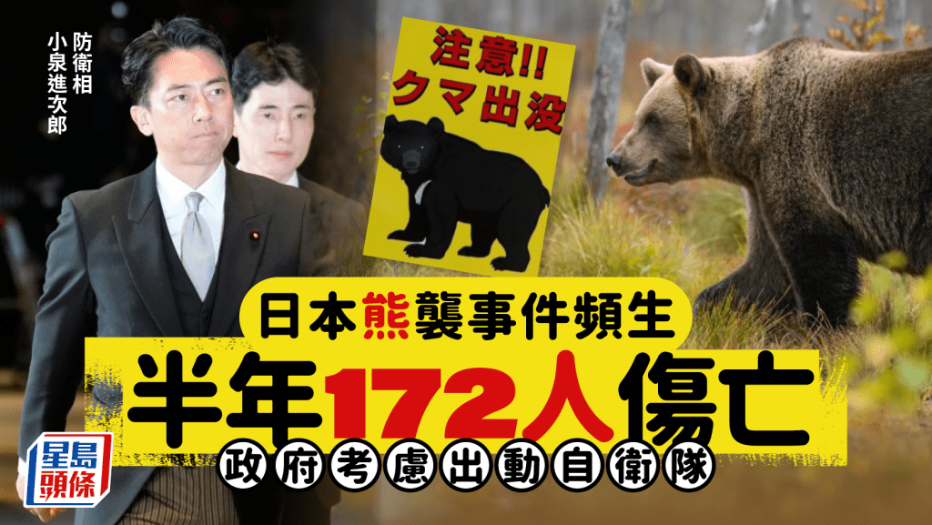 日本熊出沒 | 全國半年172人傷亡考慮出動自衛隊 白川鄉取消2周紅葉亮燈