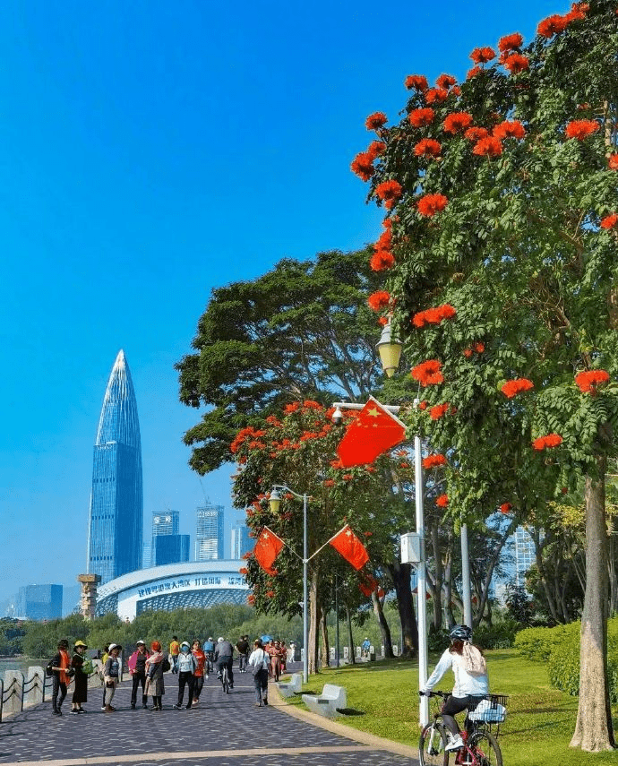 漫步在深圳的街頭巷尾，處處花團錦簇。