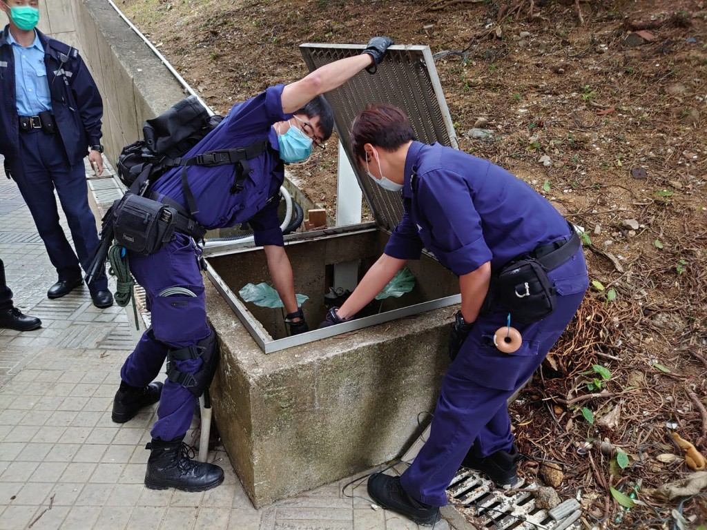 讀者提供