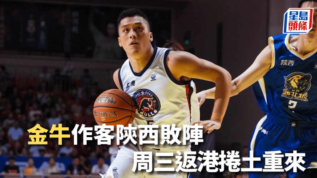 香港金牛圖片