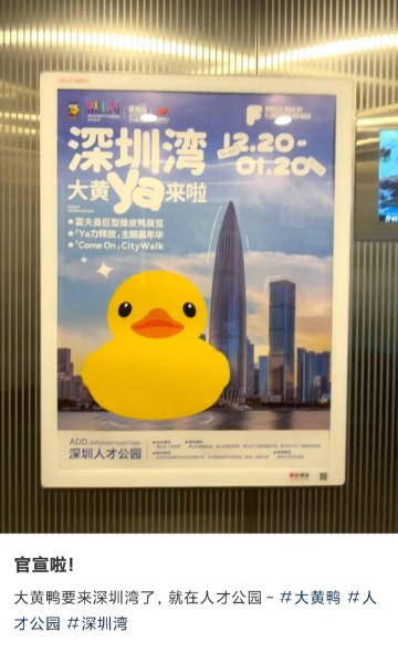 深圳许多地方现在也充满了「大黄鸭」元素。深圳发布