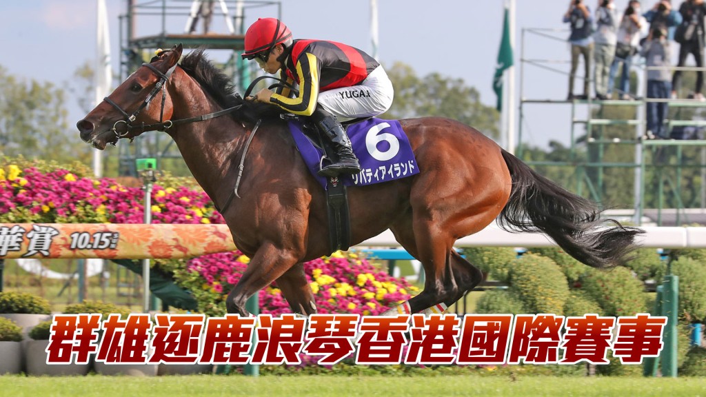 「自由島」乃上年度日本中央競馬會三冠雌馬，戰罷秋季天皇賞後，矛頭直指出戰香港盃。