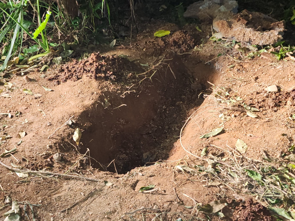埋屍的土洞位處坪洋村關帝廟後方一個小山坡上。資料圖片