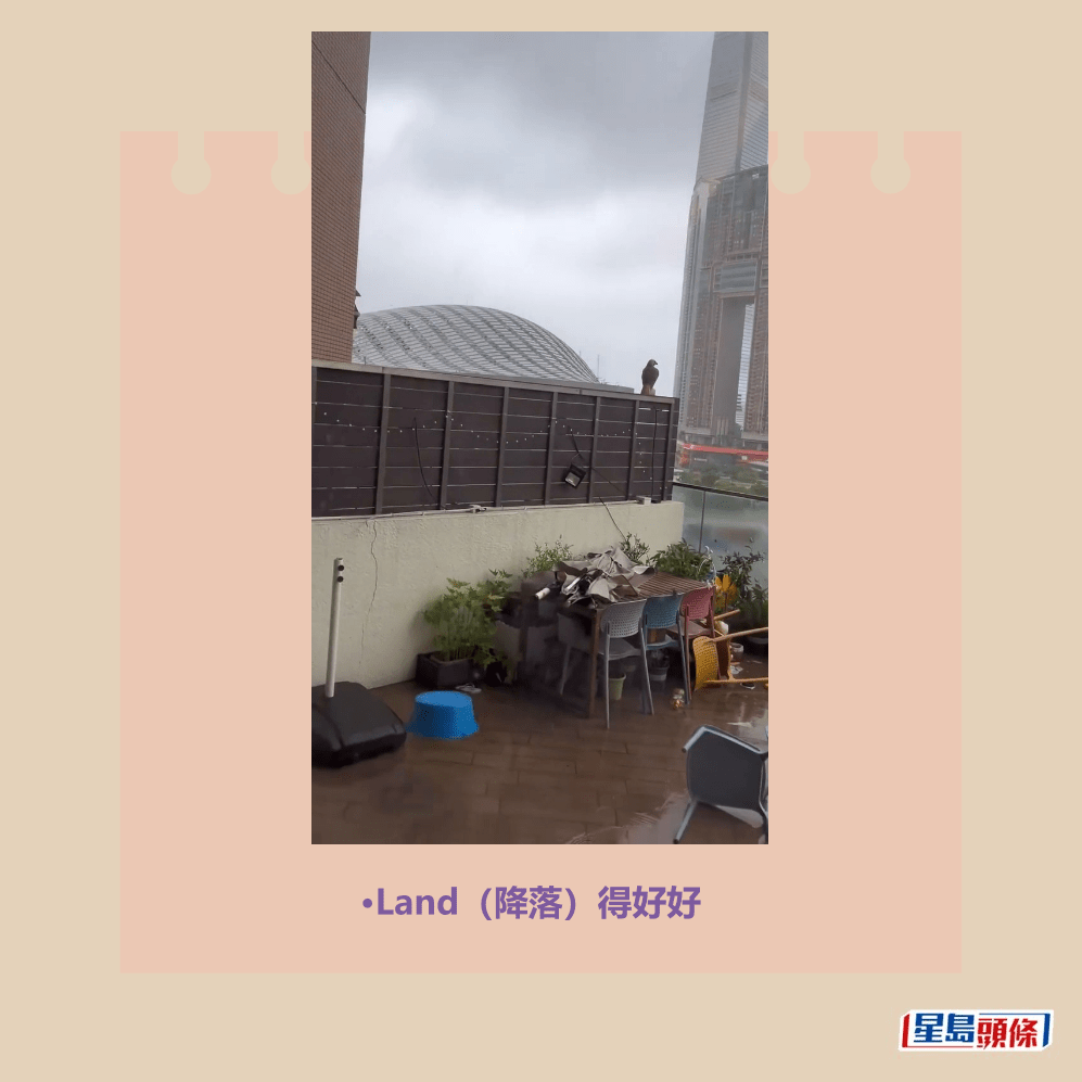 •Land（降落）得好好；Threads截圖