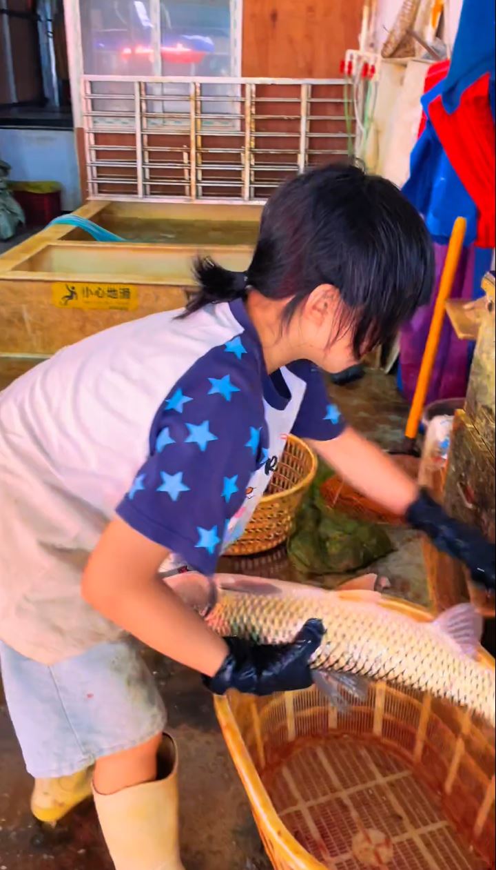 11歲顧家女孩洪琛利落的劏魚手法在網上爆紅。抖音