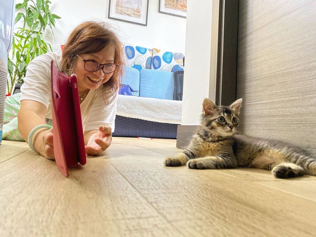 連吳媽媽都受影響，做埋貓奴。