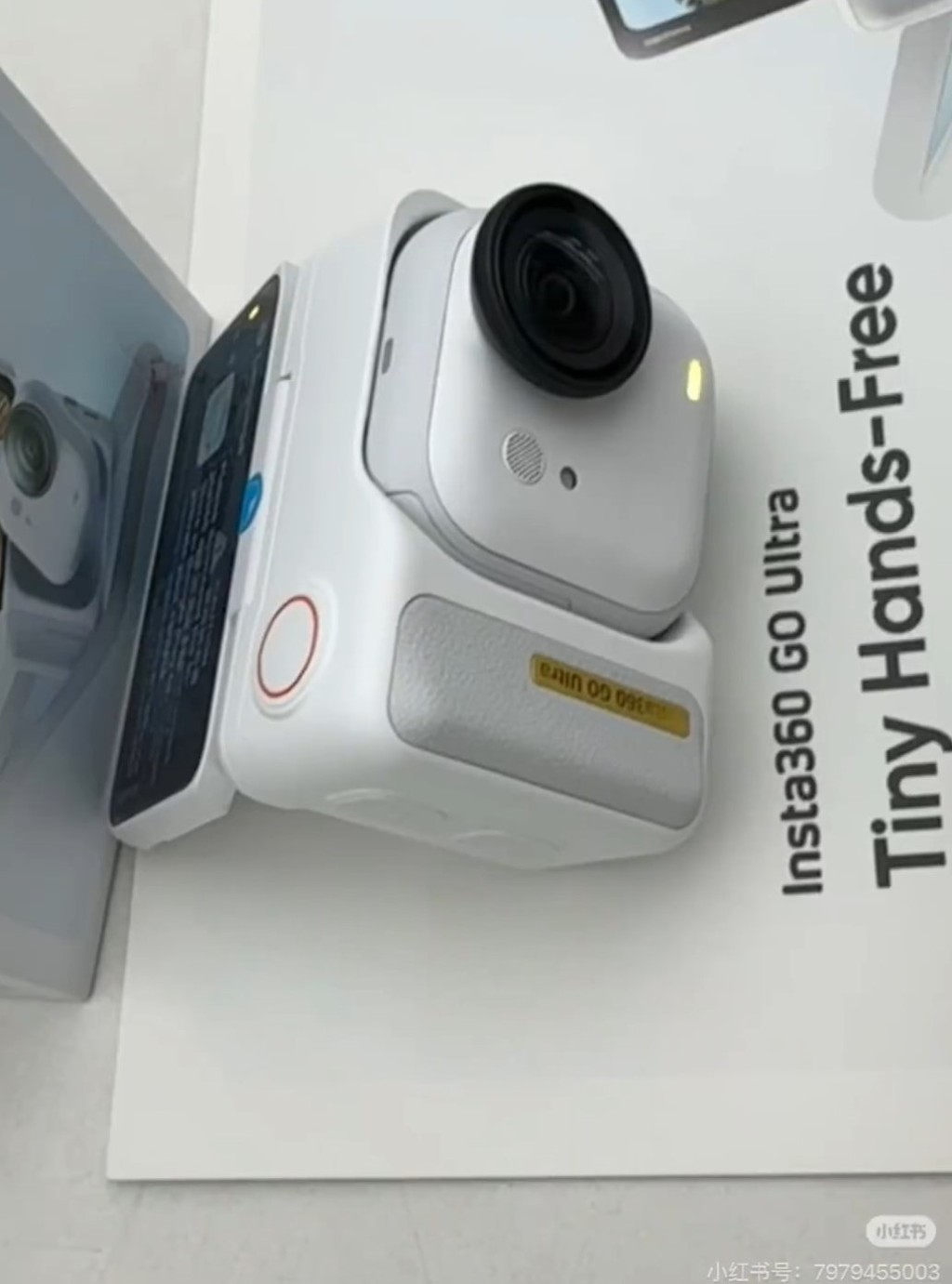 網民紛紛貼出自己有金標的Insta360相機。