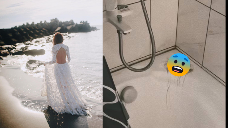 移台定居女星突離奇瘋狂脫髮！曝光驚人脫髮量：考慮要不要直接剃光頭