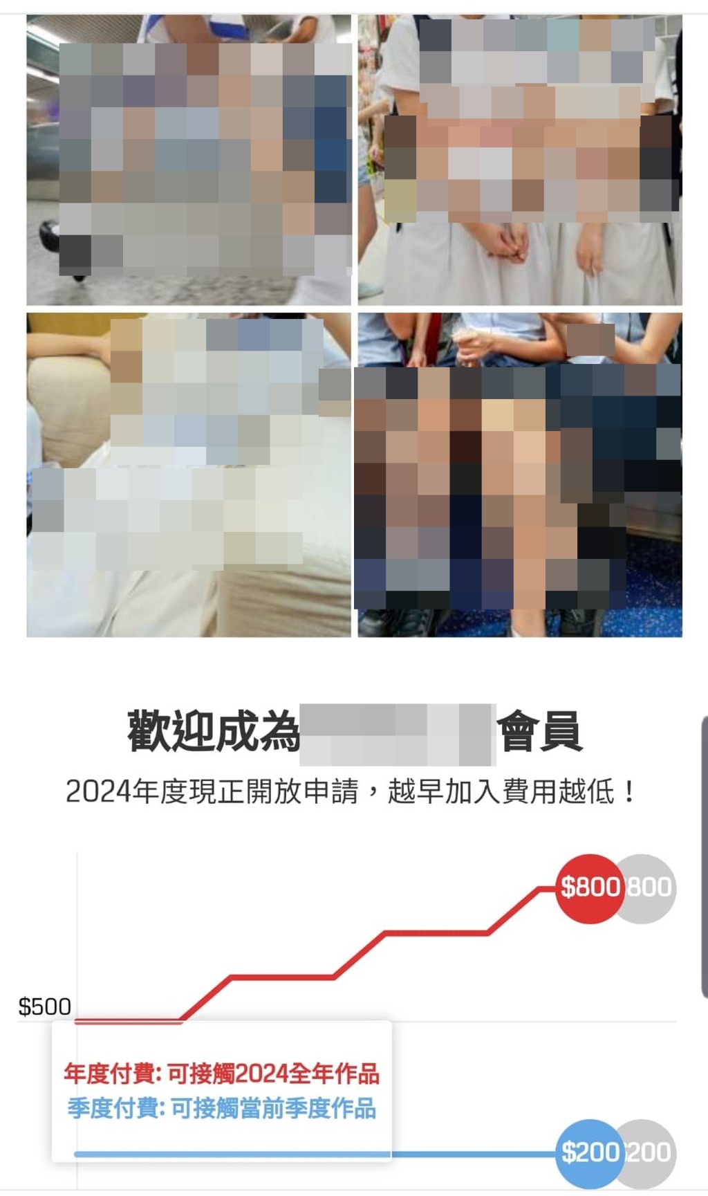 「hkxx.vip」出售大量偷拍女士的影像，200元可瀏覽一季度「作品」，800元可飽覽全年影像。 網上圖片