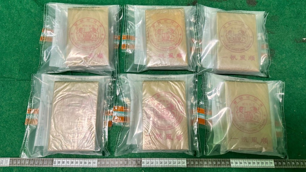 身藏140萬元海洛英磚 海關拘35歲大馬抵港男