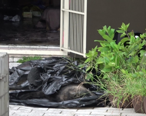 貓狗的屍體被黑膠袋掩蓋。