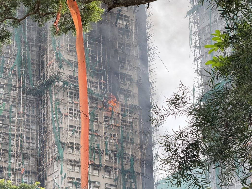 宏仁閣重新出現火勢。曹露尹攝