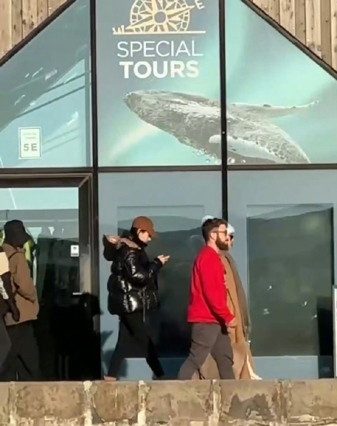 之后节目一行人去看鲸鱼。