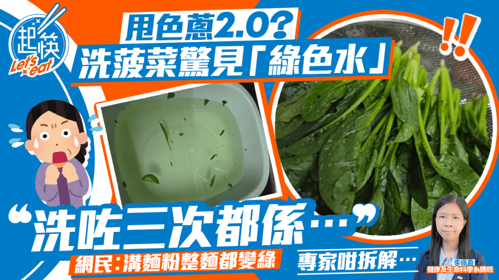 港人洗菜驚見菠菜「甩色」憂變「甩色蔥2.0」？網民無奈：其實好正常 附正確清洗菠菜步驟