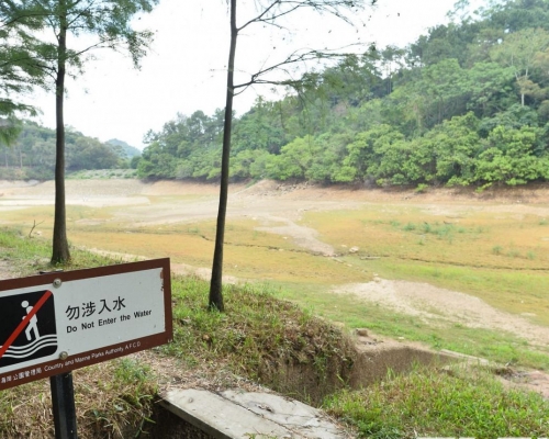 現場是粉嶺流水響水塘閘口。資料圖片
