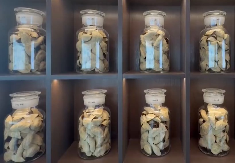 新會陳皮遠近馳名。央視截圖 新會陳皮遠近馳名。央視截圖