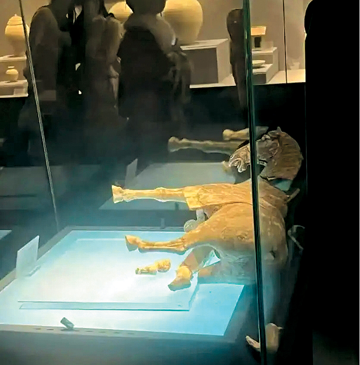 陶馬側倒在展櫃內，馬腿斷裂。